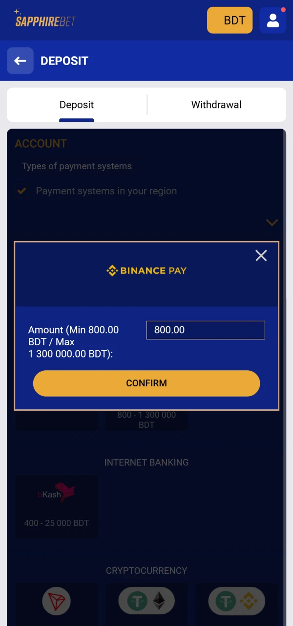 Enter the necessary details in the field to make a deposit at SapphireBet.