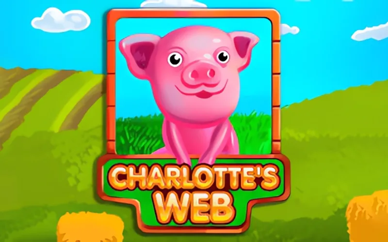 At Charlotte's Web, you can enjoy favorable terms and increased odds at SapphireBet.