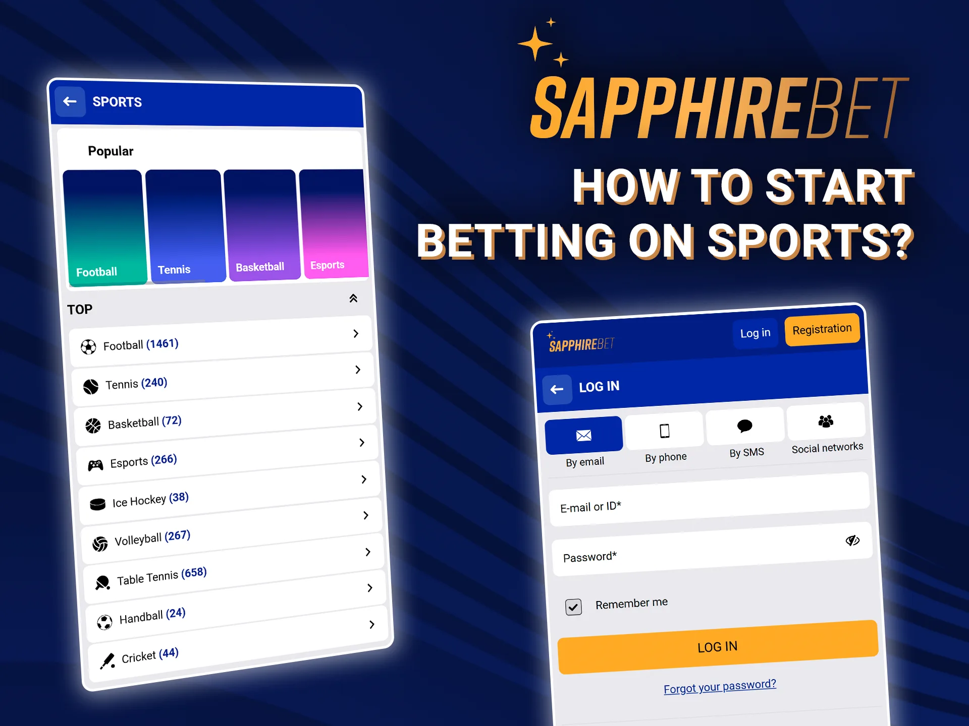 Try your hand at sports betting with SapphireBet.