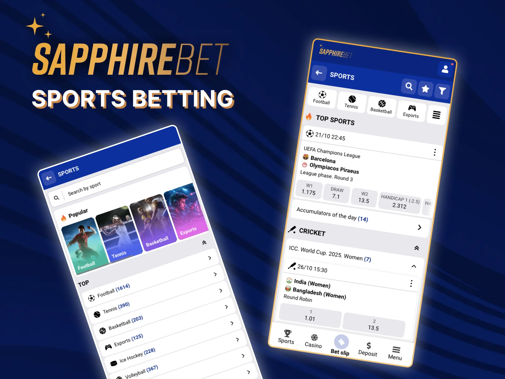 Great opportunities for sports betting are presented on the official SapphireBet website.