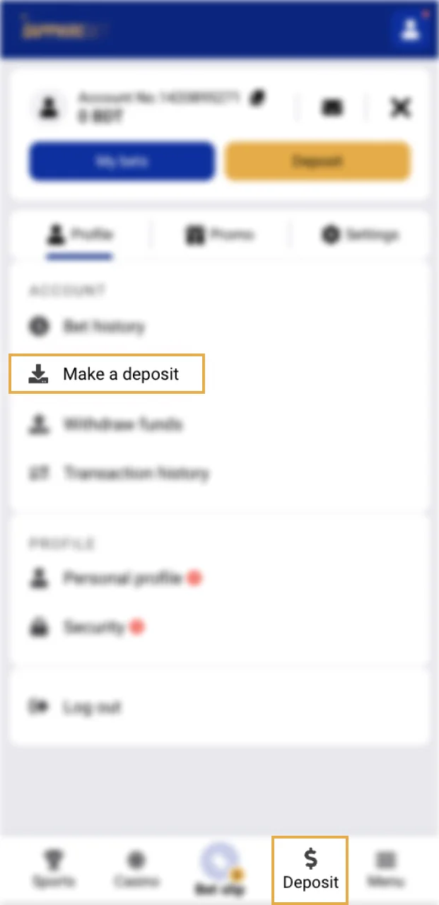 To apply the promo code on SapphireBet you need to tap Profile and open Cashier.