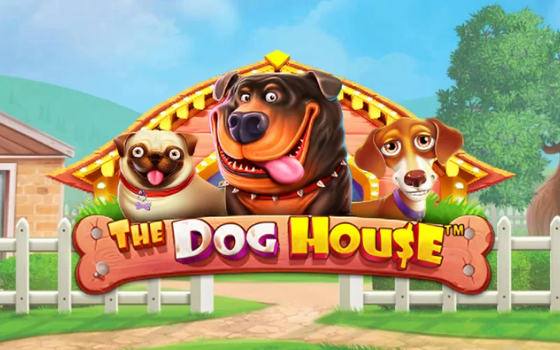 The dog house game on the official SapphireBe casino website will appeal to all lovers of pets and casino games.
