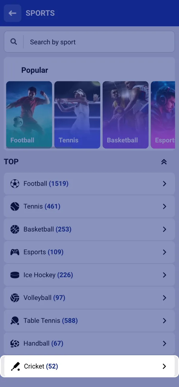 Find live cricket fixtures and markets at SapphireBet.